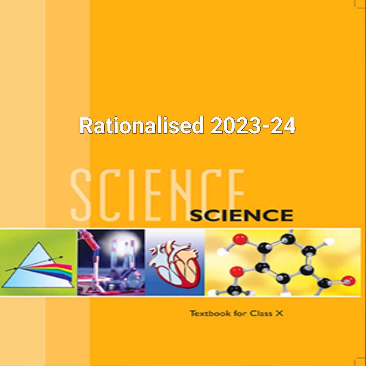 Ncert Science Class 10 2023 Image To U