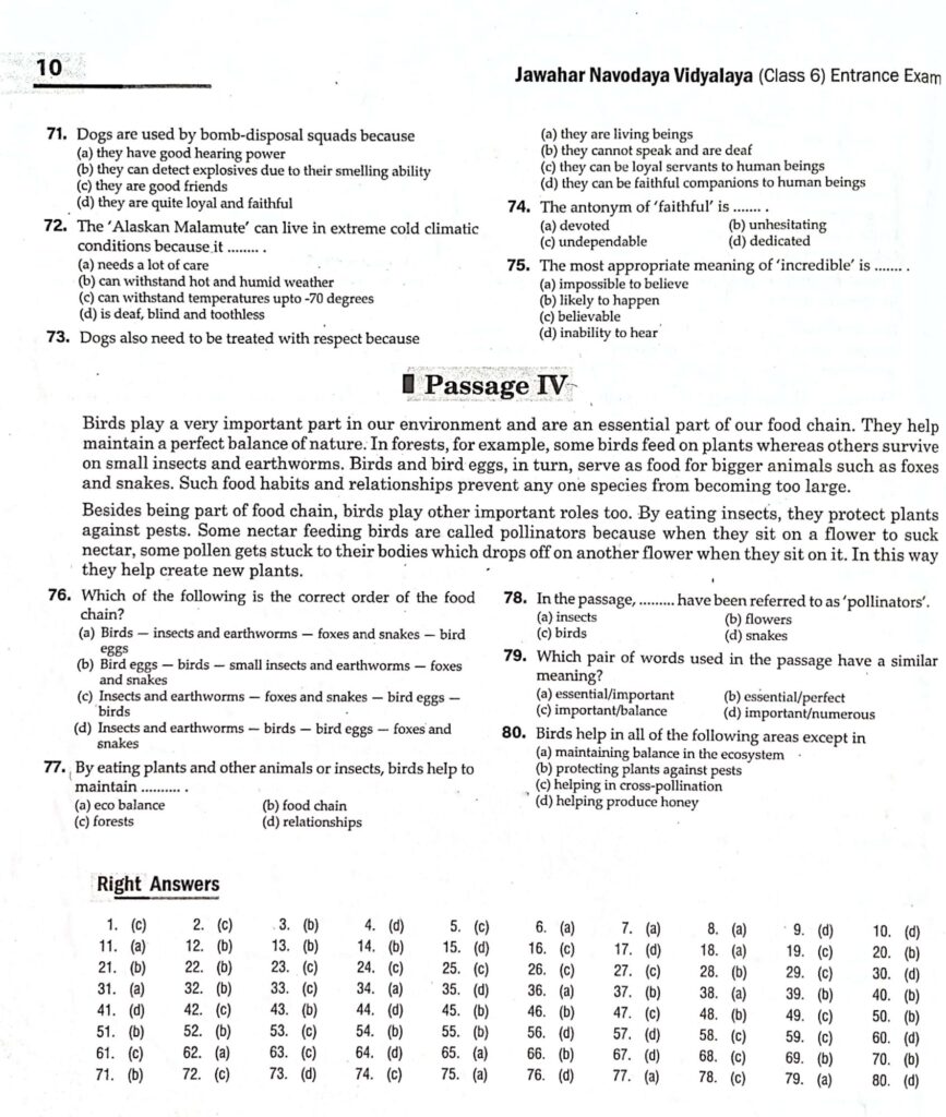 languagetest29870281520600912